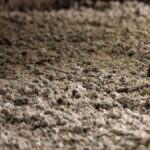 STROY Miscanthus granulių kraikas 15 kg x 65 maišai 975 kg padėklų kraikas Granulių kraikas Miscanthus - Image 6