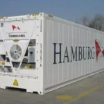 40 PĖDŲ REŽISIERIUS / NAUJAS